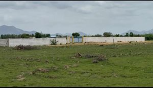 East Facing 300 Ankanams Plot Near Airport